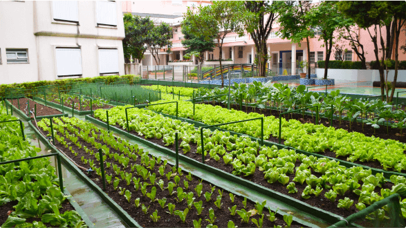 Horta e espaços verdes