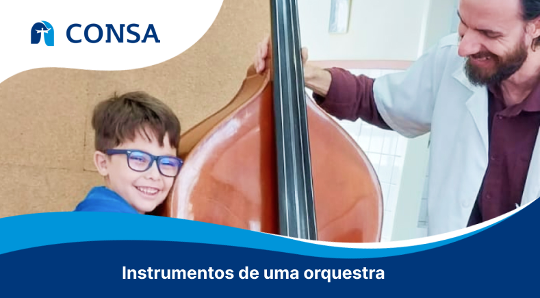 Instrumentos de uma orquestra