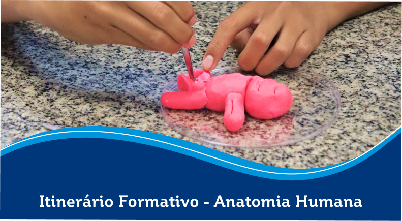 Itinerário Eletivo de Anatomia e Saúde Humana