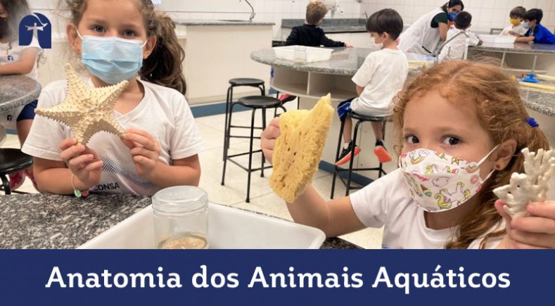 Aprendendo sobre a anatomia dos animais aquáticos