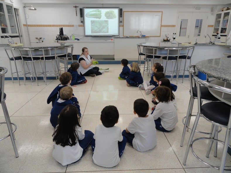 Projeto “Cores e sabores na Educação Infantil” – Integral e Semi-integral Infantil 4