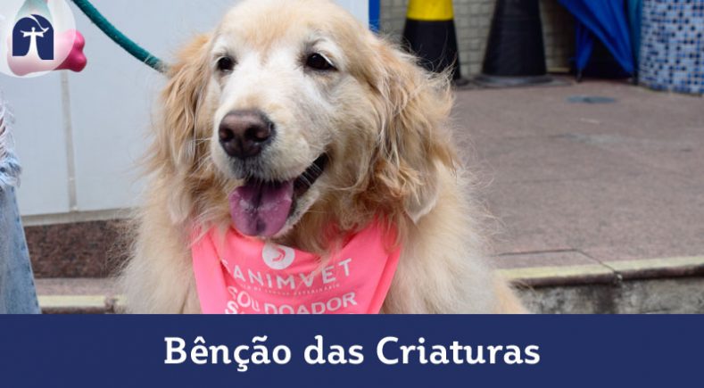 Cãominhada Solidária e Bênção das Criaturas